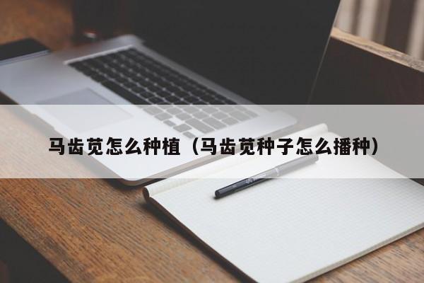 马齿苋怎么种植（马齿苋种子怎么播种） 
