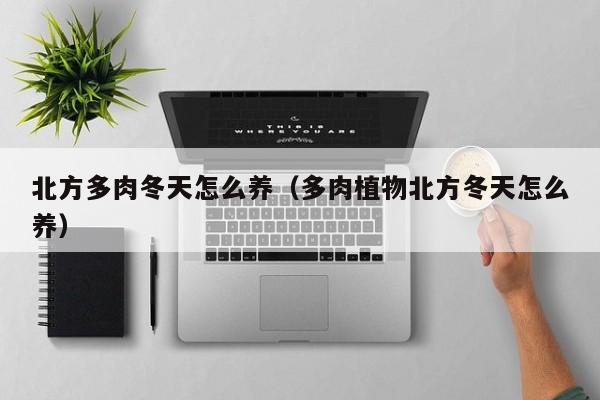 北方多肉冬天怎么养（多肉植物北方冬天怎么养） 