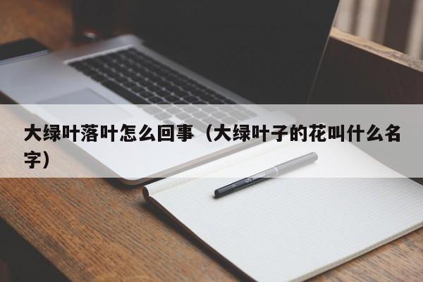 大绿叶落叶怎么回事（大绿叶子的花叫什么名字） 