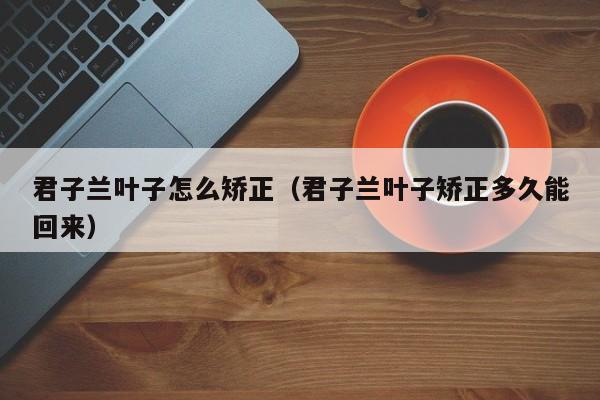 君子兰叶子怎么矫正（君子兰叶子矫正多久能回来） 