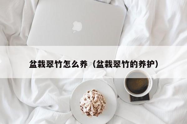 盆栽翠竹怎么养（盆栽翠竹的养护） 