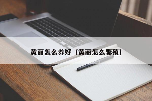 黄丽怎么养好（黄丽怎么繁殖） 