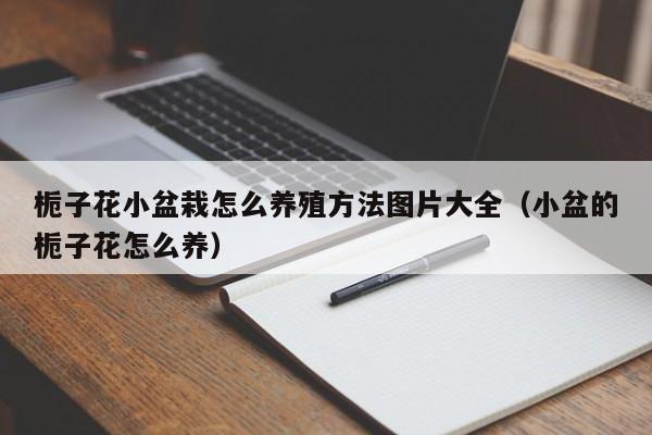 栀子花小盆栽怎么养殖方法图片大全（小盆的栀子花怎么养） 