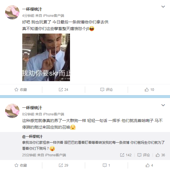 一条狗的使命的狗是什么品种的？一条狗的使(一条狗的使命 品种)