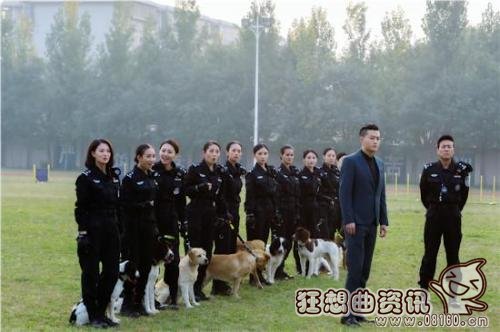 警花与警犬大结局是什么剧情?警花与警犬有(警花与警犬最后的大结局)