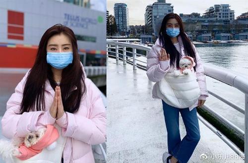 王祖贤为什么去加拿大？王祖贤女儿王思依是