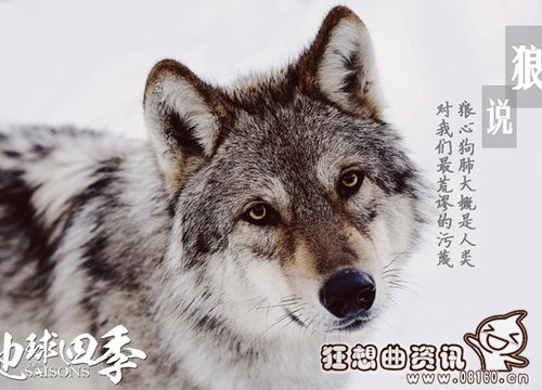 电影地球四季哪时候上映?地球四季是一部什(地球的一年四季)