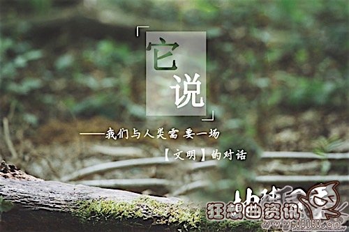 电影地球四季哪时候上映?地球四季是一部什(地球的一年四季)