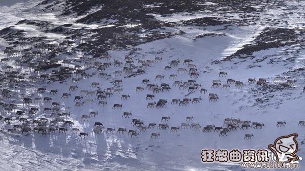电影地球四季哪时候上映?地球四季是一部什(地球的一年四季)