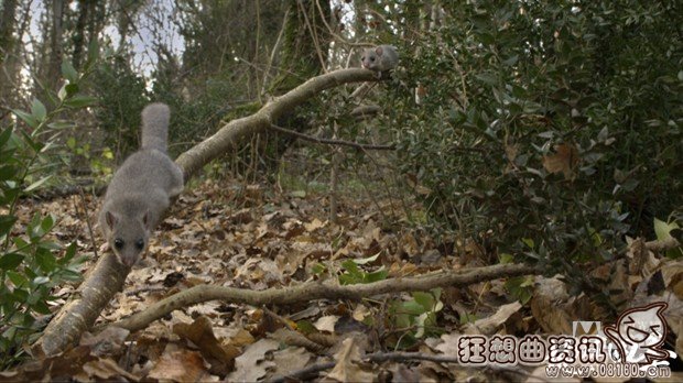 电影地球四季哪时候上映?地球四季是一部什(地球的一年四季)