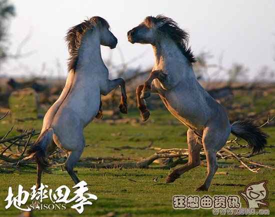 电影地球四季哪时候上映?地球四季是一部什(地球的一年四季)