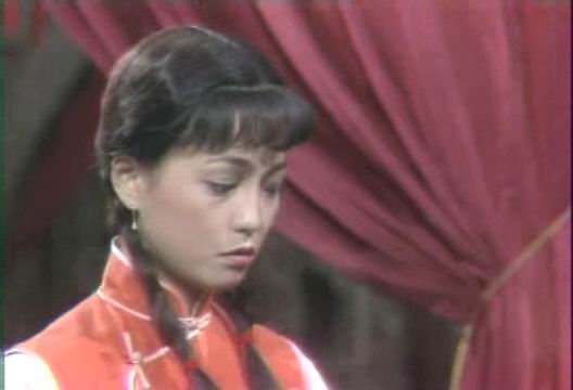 苑琼丹丈夫黄乃扬照片(苑琼丹近照)