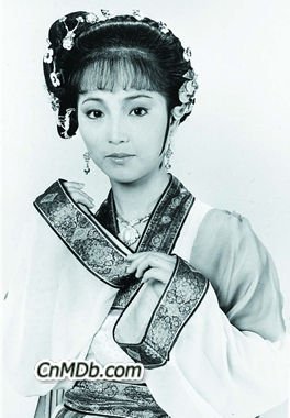 苑琼丹丈夫黄乃扬照片(苑琼丹近照)
