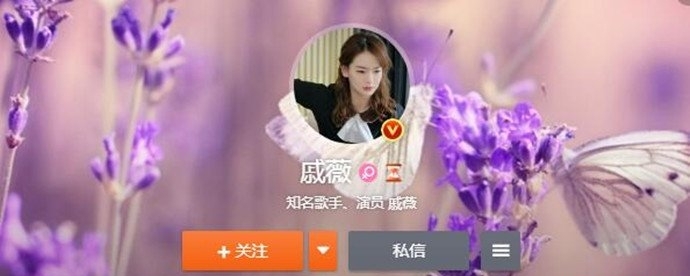 娱乐圈职业黑粉是什么意思？职业黑粉赚钱的(黑粉挣钱吗)