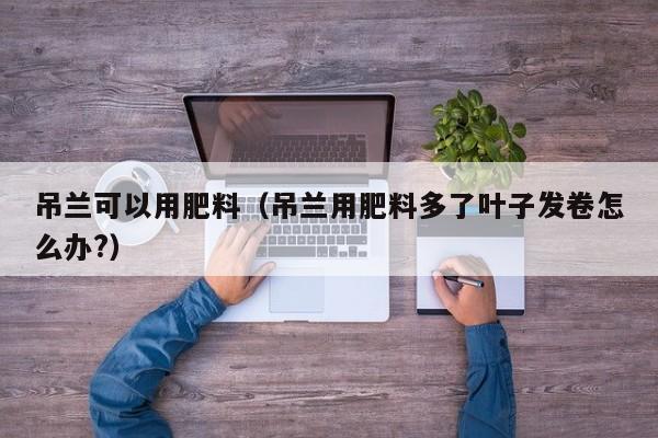 吊兰可以用肥料（吊兰用肥料多了叶子发卷怎么办?） 