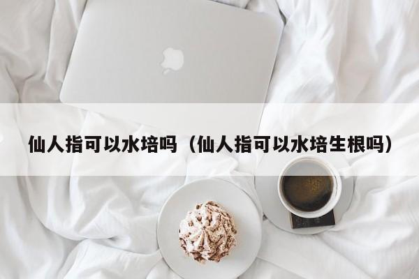 仙人指可以水培吗（仙人指可以水培生根吗） 