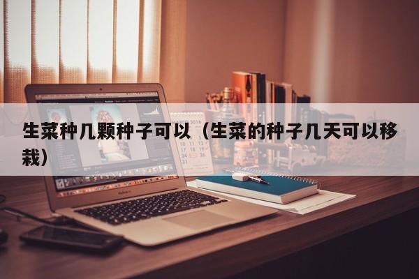 生菜种几颗种子可以（生菜的种子几天可以移栽） 