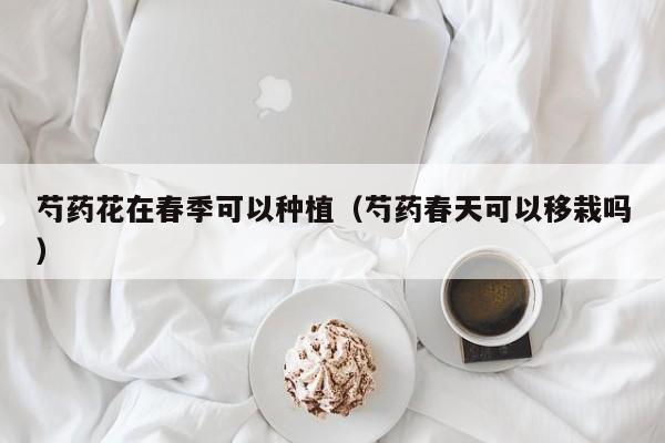 芍药花在春季可以种植（芍药春天可以移栽吗） 