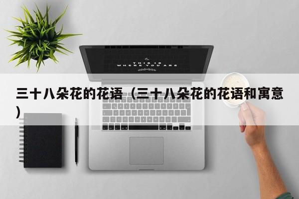 三十八朵花的花语（三十八朵花的花语和寓意） 