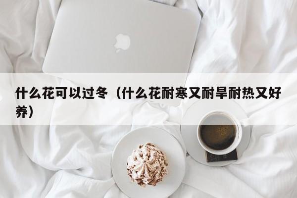 什么花可以过冬（什么花耐寒又耐旱耐热又好养） 