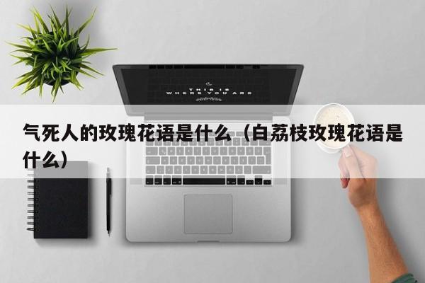 气死人的玫瑰花语是什么（白荔枝玫瑰花语是什么） 