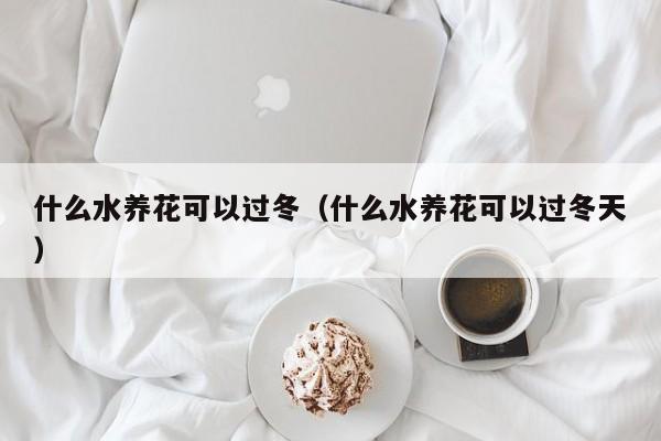 什么水养花可以过冬（什么水养花可以过冬天） 