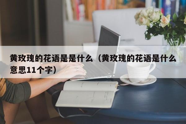 黄玫瑰的花语是是什么（黄玫瑰的花语是什么意思11个字） 