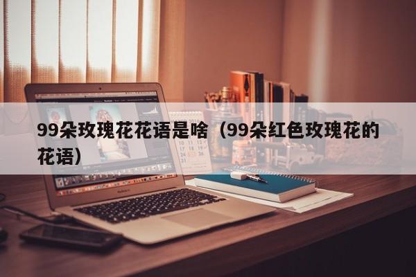 99朵玫瑰花花语是啥（99朵红色玫瑰花的花语） 